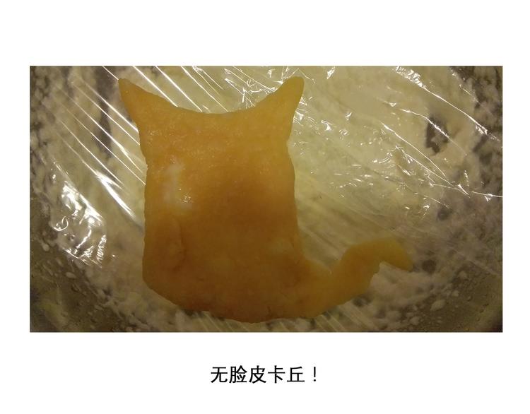 神奇宝贝雪媚娘26