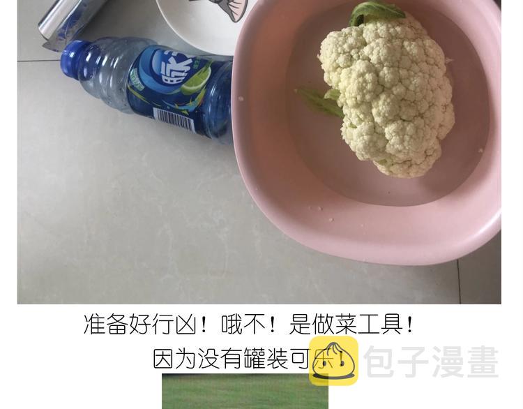 仙女减肥炒饭15