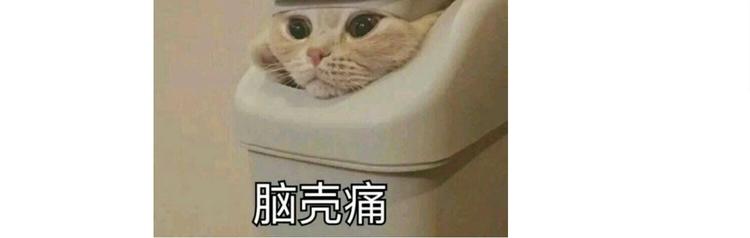 仙女的大南瓜65