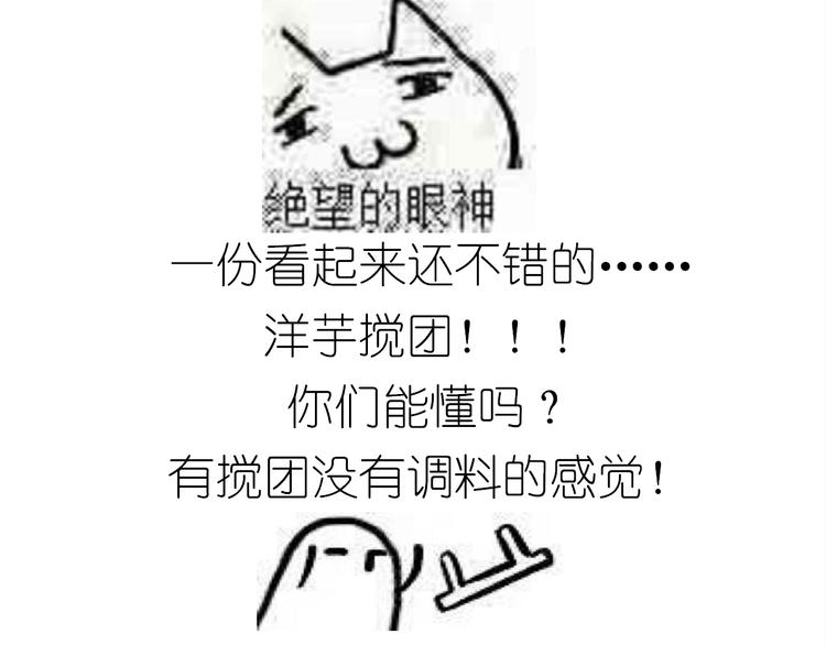 土豆丸子14
