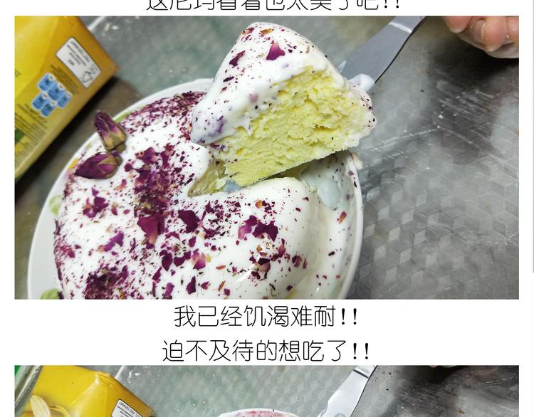 仙女酸奶巅峰蛋糕53