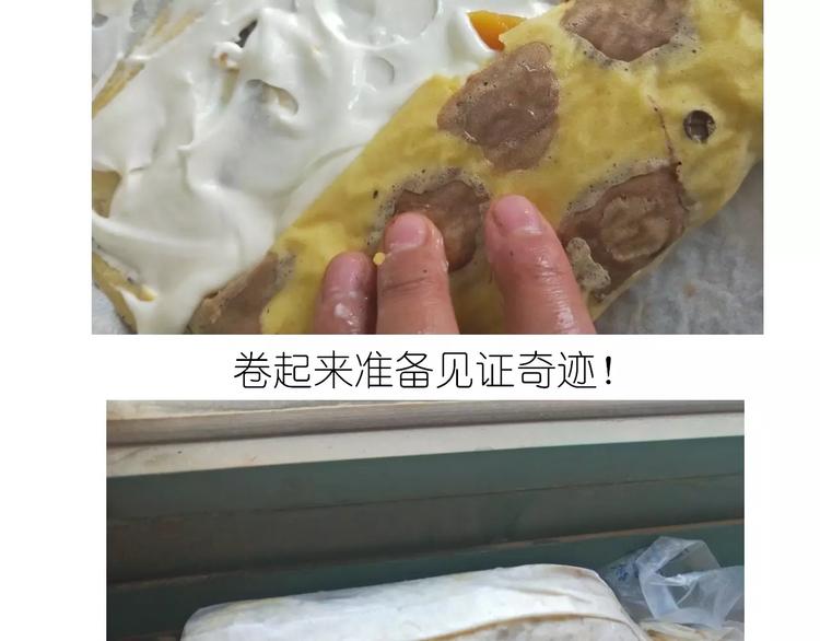 动物蛋糕卷38