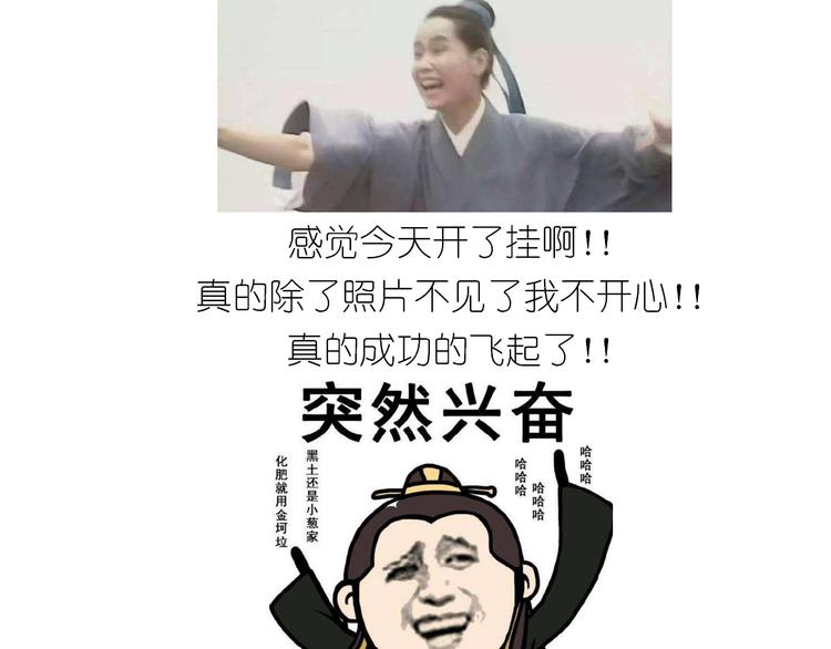 仙女全麦兔仓鼠饼39