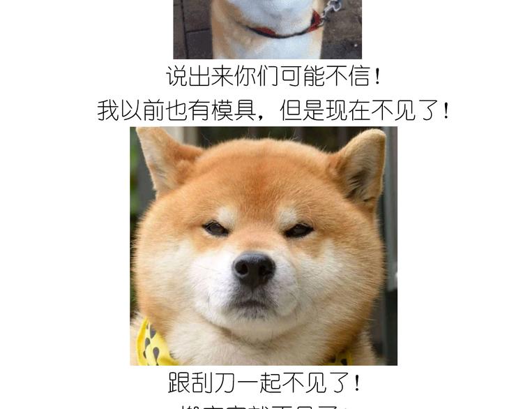 岩浆蛋糕17