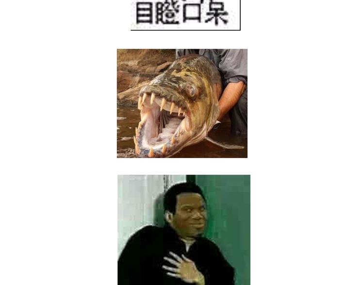 懒蛋蛋流沙包13