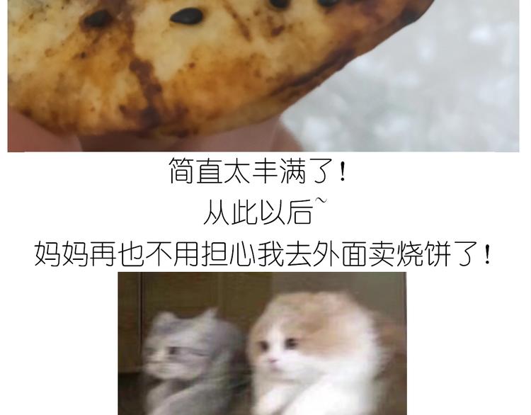 仙女的烧饼63