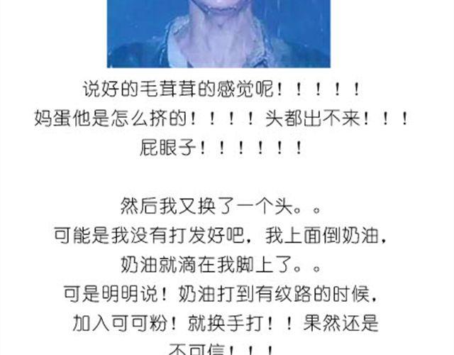 小熊蛋糕29