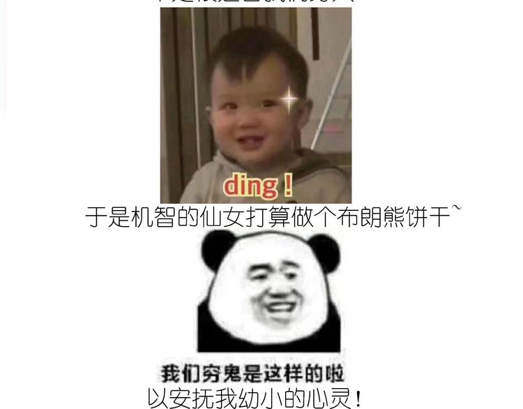 小仙女的布朗熊饼干1