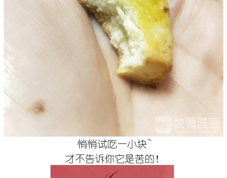 仙女葡萄奶酥31