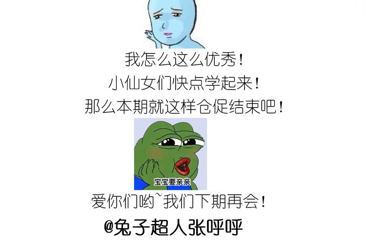 仙女圣诞饼干43