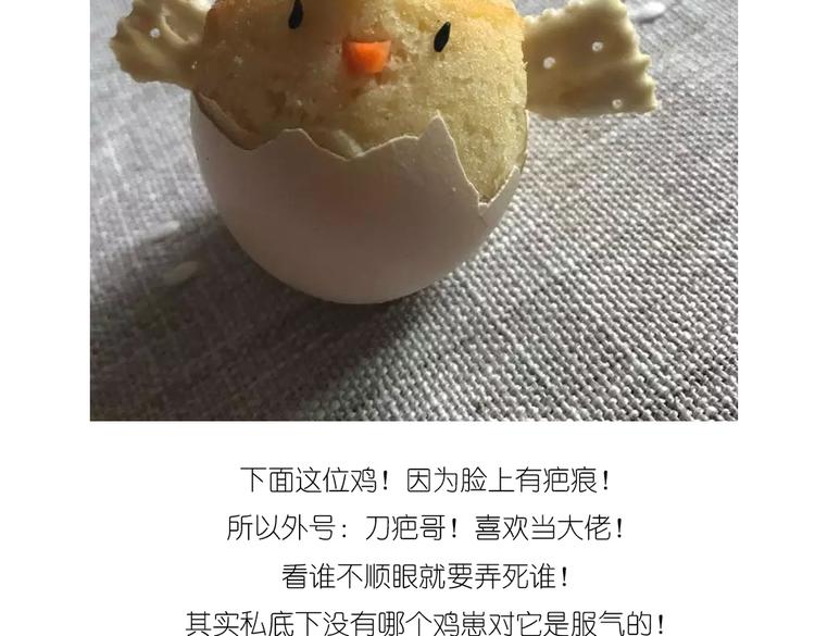 小鸡蛋糕14