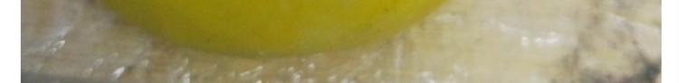 仙女的狗子43