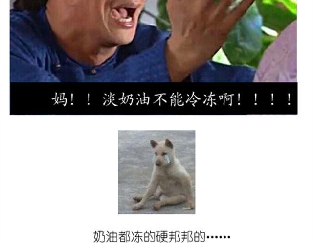 法式马卡龙19
