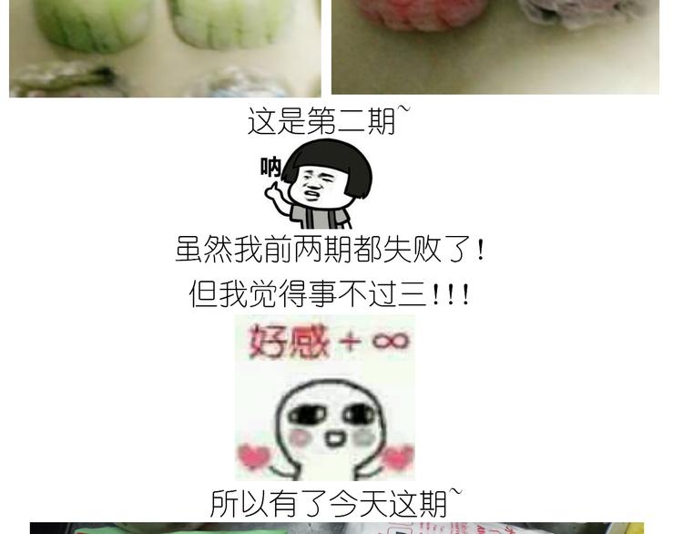 仙女的冰皮月饼2