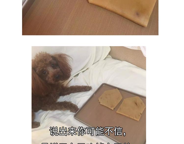 圣诞小屋15