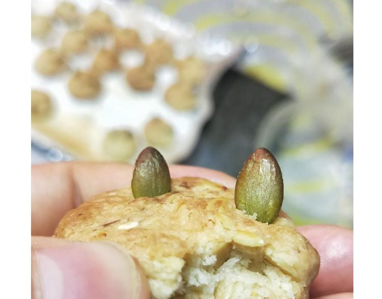 仙女全麦兔仓鼠饼35