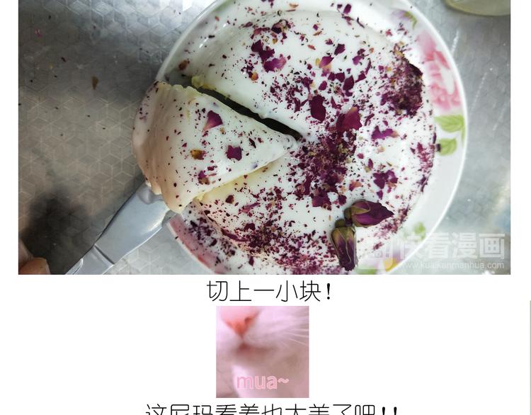 仙女酸奶巅峰蛋糕52
