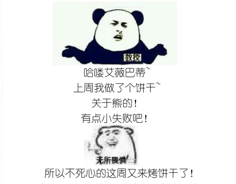 仙女全麦兔仓鼠饼0