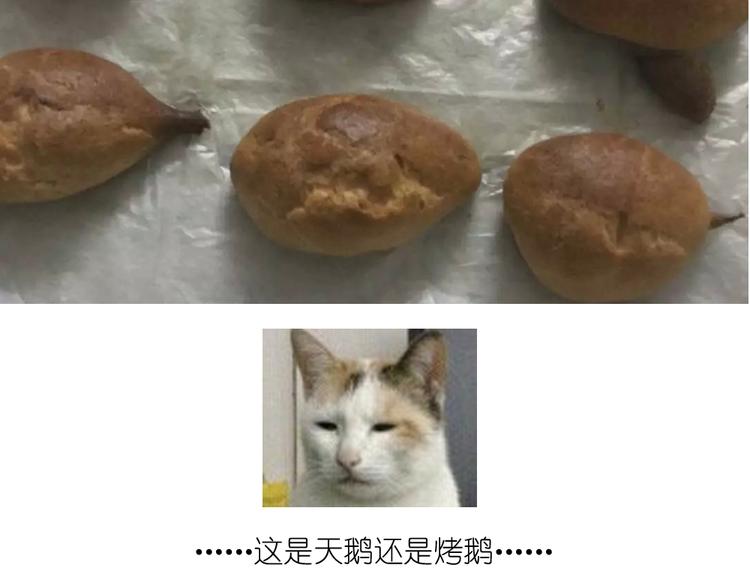 天鹅泡芙29