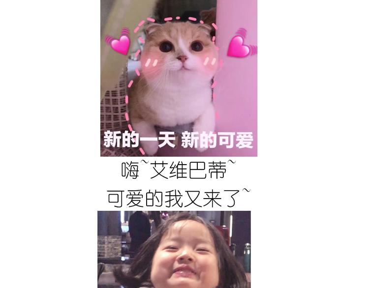 仙女的切糕0