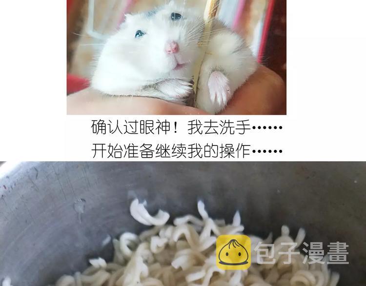 仙女的蛋包面25