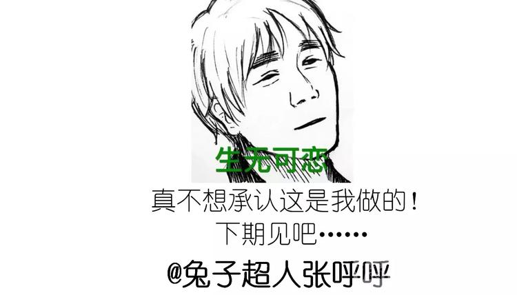 动物蛋糕卷49