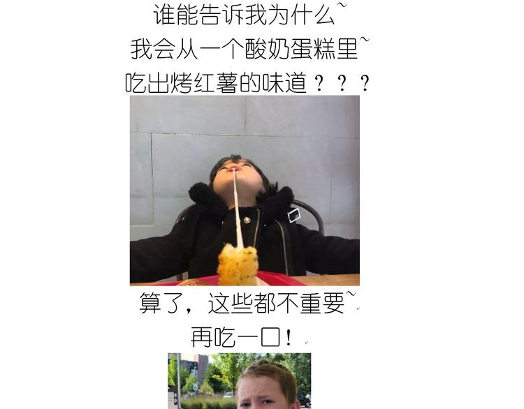 仙女酸奶蛋糕35