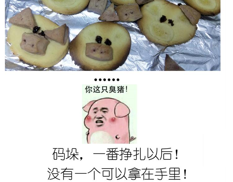 仙女小年特色猪饼干39