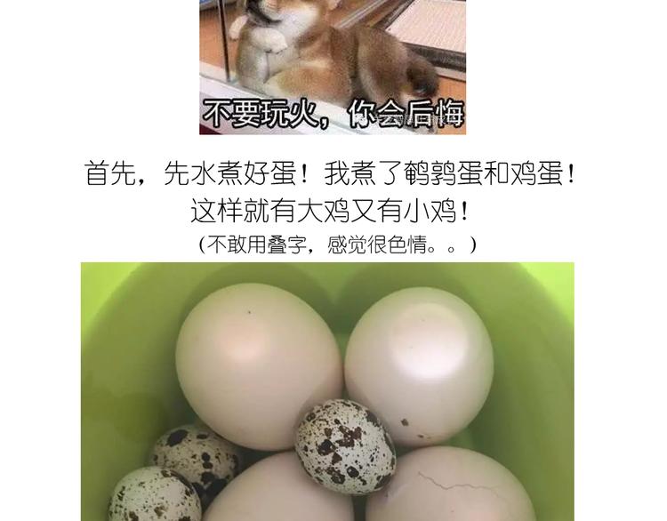 小鸡沙拉1