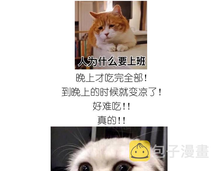 仙女三不沾50