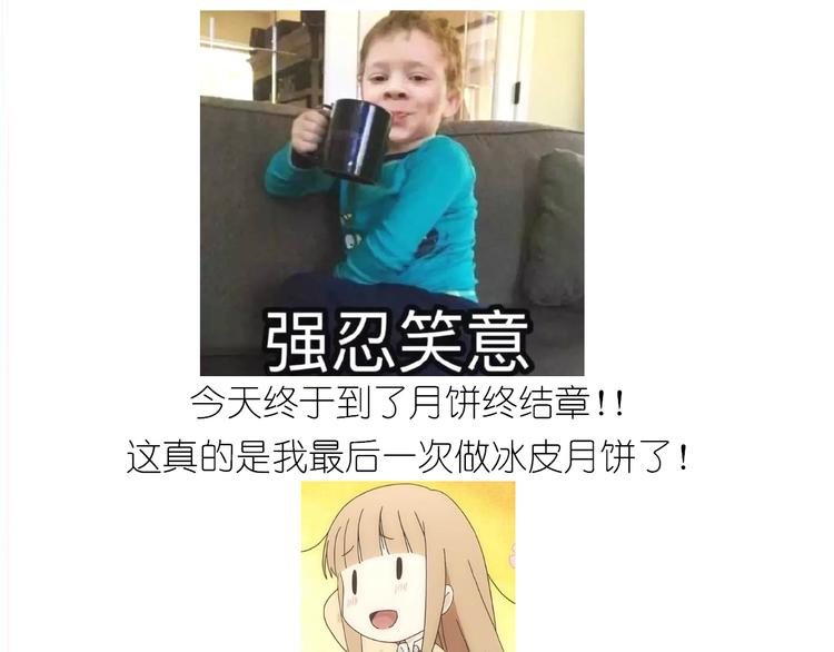 仙女的冰皮月饼0