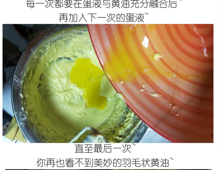 仙女的罗马盾饼干14