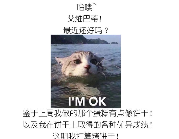 仙女圣诞饼干0