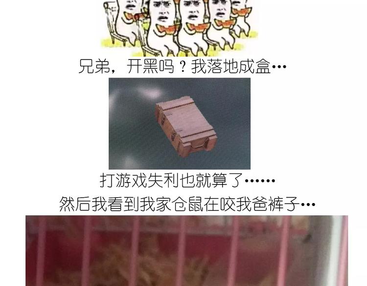 仙女的蛋包面18