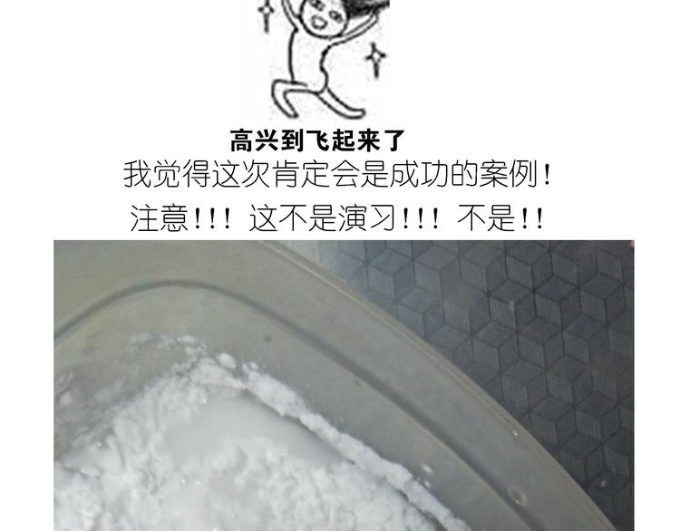 仙女星冰粽4