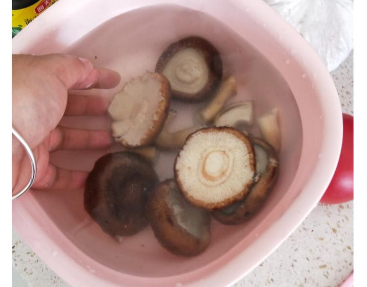 仙女的自制鲍鱼12