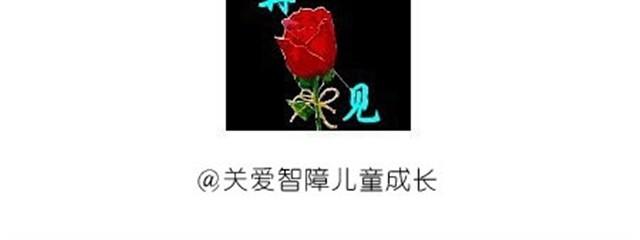 可爱的小猪豆沙包23