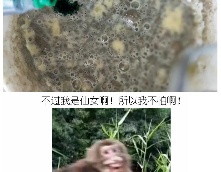 抹布蛋糕15