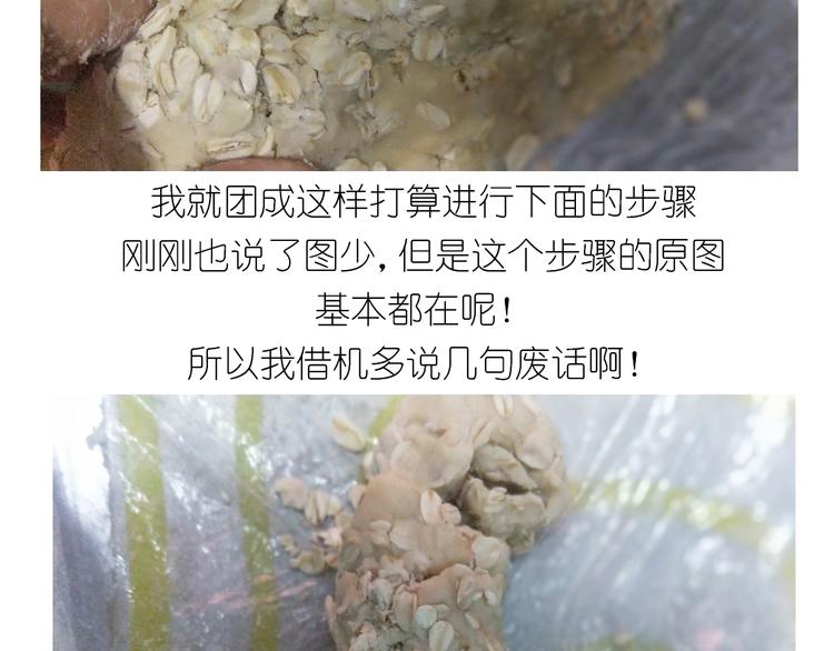 仙女全麦兔仓鼠饼14