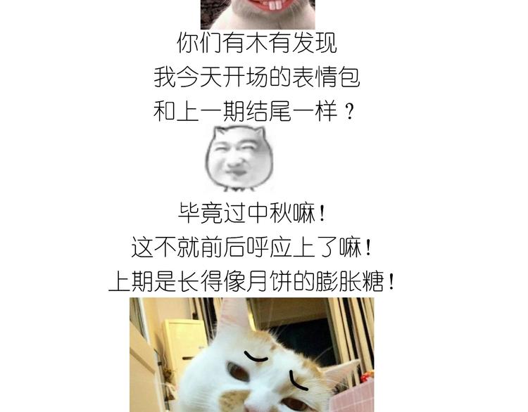 仙女三不沾1