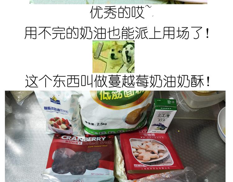 仙女自制趣奶油多多2