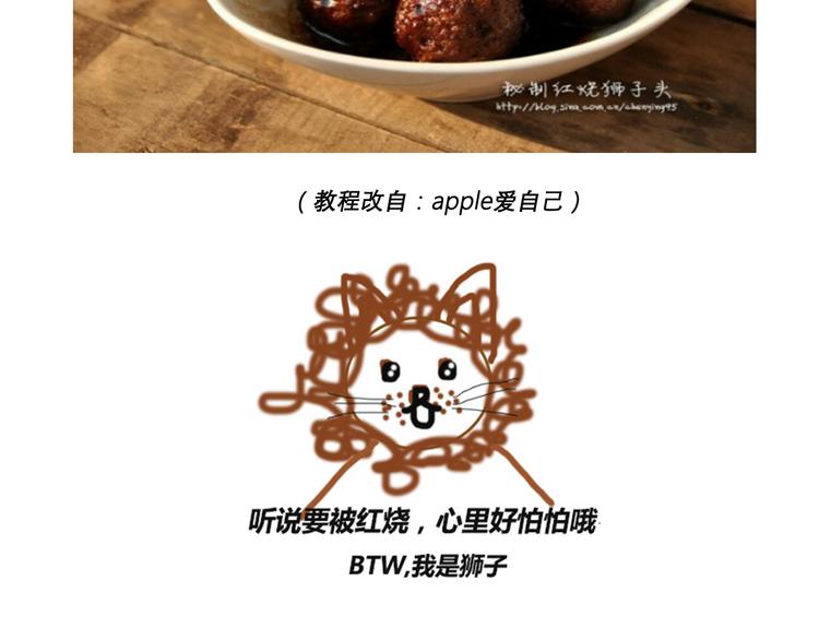 红烧狮子头2