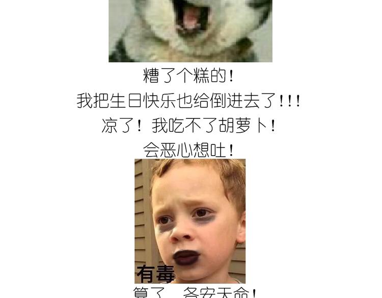 仙女的生日餐27