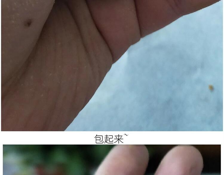 仙女的青团32