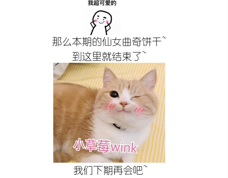 仙女的曲奇58