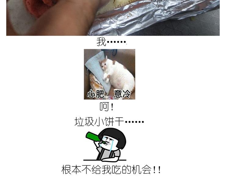 仙女的曲奇53