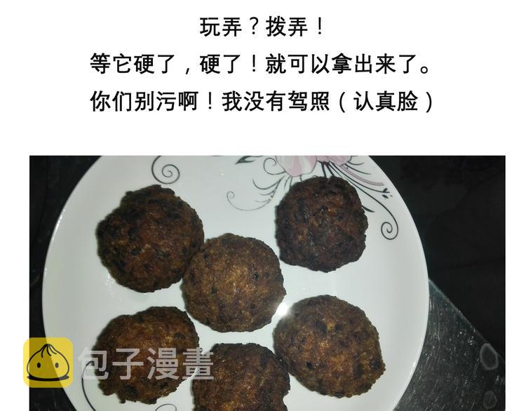 红烧狮子头17