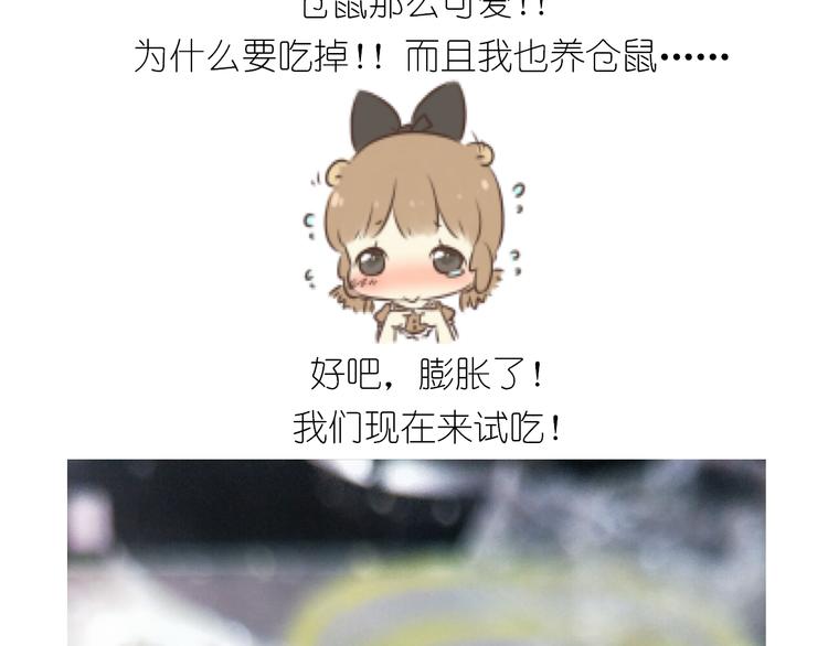仙女全麦兔仓鼠饼34