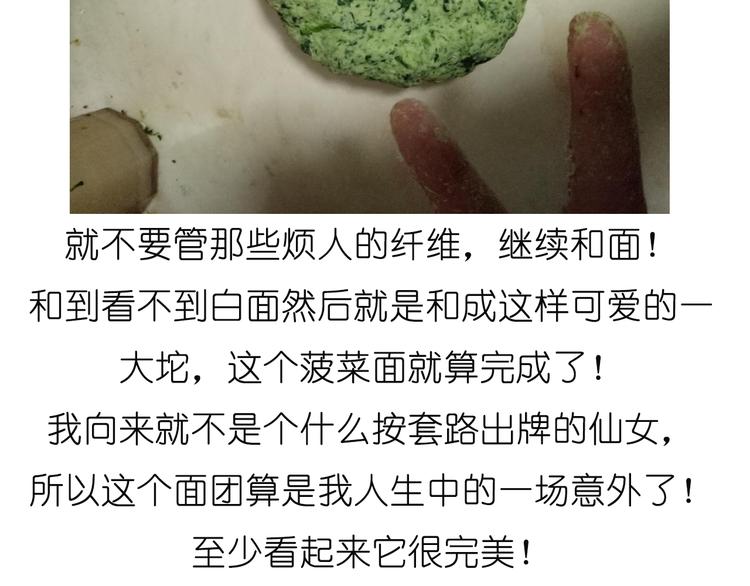 菠菜饼19