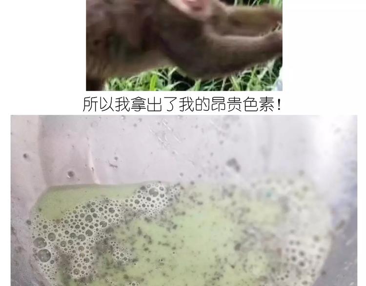 抹布蛋糕16